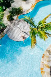 Aerial view of the tropical pool at Boardwalk Boutique Hotel Aruba surrounded by palm trees and lush gardens.