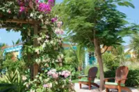 Boardwalk Boutique Hotel Aruba gardens 