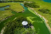 Bubali bird sanctuary 