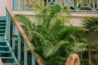 Guest walking past a turquoise staircase and balcony surrounded by tropical plants at Boardwalk Boutique Hotel Aruba.