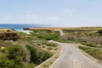 Scenic landscape road in Aruba, reflecting the island’s calm atmosphere near Boardwalk Boutique Hotel Aruba.