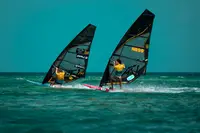 Competitive windsurfing on Palm Beach in Aruba near Boardwalk Boutique Hotel Aruba during a sports event.
