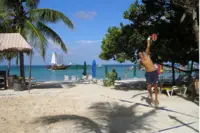 Beach tennis on Palm Beach in Aruba near Boardwalk Boutique Hotel Aruba, combining sport, sun, and sea.