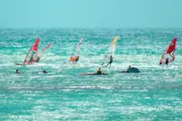 Group windsurfing session on Palm Beach in Aruba near Boardwalk Boutique Hotel Aruba.