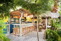 Coco Café outdoor bar at Boardwalk Boutique Hotel Aruba surrounded by lush tropical gardens.