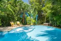 Tropical Tranquility pool area at Boardwalk Boutique Hotel Aruba with sun loungers and palm trees.