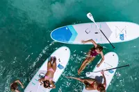 Aerial view of people paddleboarding on turquoise water in Aruba.