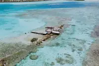 Aerial view of a person kayaking over clear turquoise water at Mangel Halto, Aruba, with coral patches visible below.