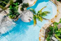 Aerial view of the pool with a palm tree, sun deck, and curved pool design at Boardwalk Boutique Hotel Aruba.