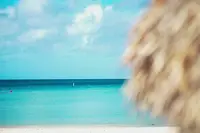 Video showcasing Turquoise ocean and sandy beach view in Aruba near Boardwalk Boutique Hotel Aruba.