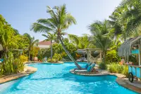 Big Swimming pool at Boardwalk Boutique Hotel Aruba with palm trees and tropical coconut plantation and landscaping.
