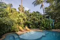 Relaxing pool oasis at Boardwalk Boutique Hotel Aruba surrounded by tropical plants.