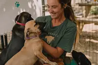 Guest with dogs at Boardwalk Boutique Hotel Aruba (Sgt. Pepper & friends)