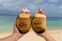 Two hands holding fresh coconuts with straws on a sandy beach with turquoise ocean water at Boardwalk Boutique Hotel Aruba.