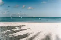 Palm Beach Aruba with white sand and calm turquoise water, Beach Clean up