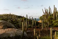 Arikok National Park Aruba and Ricky trail at sunset