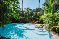 Curved pool at Boardwalk Boutique Hotel Aruba surrounded by greenery.