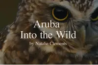 Cover image for “Aruba Into the Wild” by Nathalie Clemens.