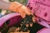 Organic waste being composted at Boardwalk Boutique Hotel Aruba as part of its sustainability practices supporting Green Globe Certification.
