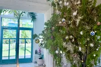 Boardwalk Boutique Hotel Aruba lobby entrance and a tropical Christmas tree decorated with lights and ornaments.