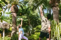 Yoga at Boardwalk Boutique Hotel Aruba