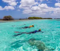 Snorkeling