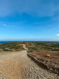 Scenic trail in Arikok National Park Aruba with panoramic views, explored from Boardwalk Boutique Hotel Aruba.