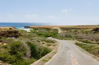 Scenic road through Arikok National Park Aruba, easily reached while staying at Boardwalk Boutique Hotel Aruba.