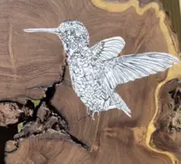 Hummingbird artwork on wood by Armando Goedgedrag, created during his Artist in Residence at Boardwalk Boutique Hotel Aruba in Aruba.