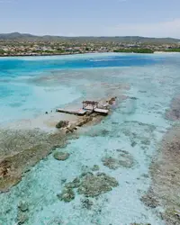 Aerial view of a person kayaking over clear turquoise water at Mangel Halto, Aruba, with coral patches visible below.