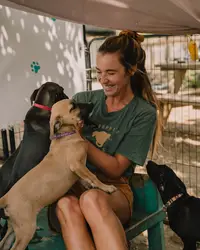 Guest with dogs at Boardwalk Boutique Hotel Aruba (Sgt. Pepper & friends)