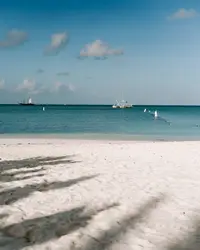 Palm Beach Aruba with white sand and calm turquoise water, Beach Clean up