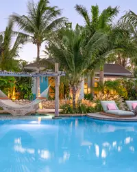 Tropical pool at Boardwalk Boutique Hotel Aruba with palm trees and poolside hammocks.