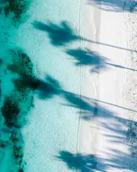 Aerial view of Aruba’s turquoise ocean and white-sand shoreline at palm beach 