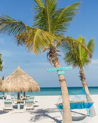 Palm Beach Aruba view near Boardwalk Boutique Hotel Aruba with palapas and lounge chairs.